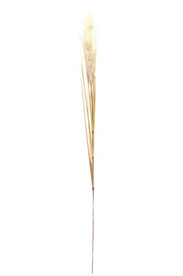 Искусственное растение Осока, 118 см, коричневый, пластик, полиэстер, проволока (130399) 130399 фото