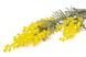 Штучна квітка Мімоза (Акація), 88 см, жовтий, полімерний матеріал, тканина (630133) 630133 фото 2