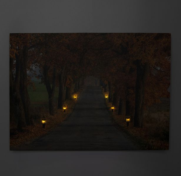 Картина, що світиться - осіння стежка з ліхтарями, 6 LЕD ламп, 30x40 см (940072) 940072 фото