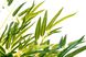 Штучна трава - Бамбук 150 см, в горщику (360504) 360504 фото 3