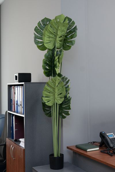 Штучна рослина - Монстера 150 см, в горщику (360511) 360511 фото