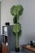 Искусственное растение - Монстера 150 см, в горшке (360511) 360511 фото 6