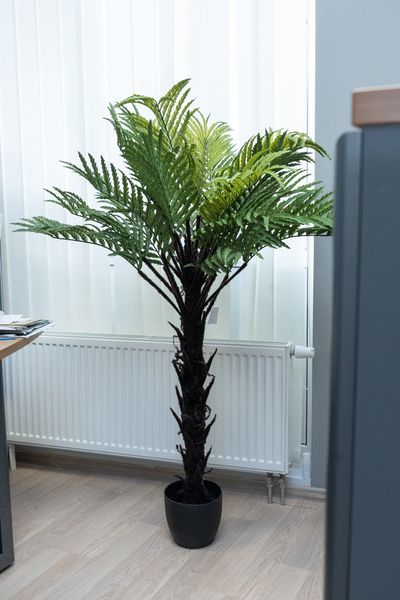 Штучна рослина - Папороть 160 см, в горщику (360528) 360528 фото