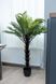 Штучна рослина - Папороть 160 см, в горщику (360528) 360528 фото 6