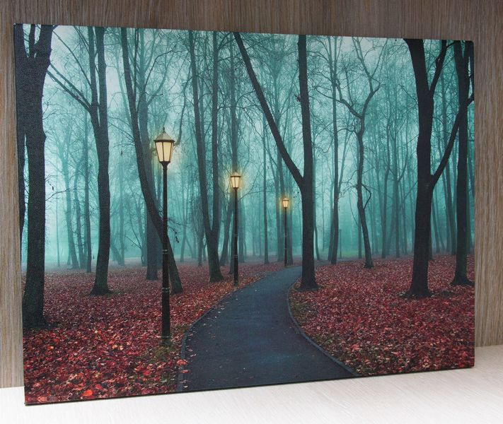 Картина, що світиться - стежка у парку з вуличними ліхтарями, 3 LED лампочки, 30x40x1,8 см (940089) 940089 фото