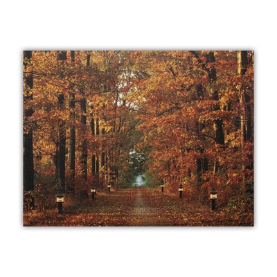Картина, що світиться - осінній ліс із стежкою палаючих ліхтарів, 6 LЕD ламп, 30x40 см (940102) 940102 фото