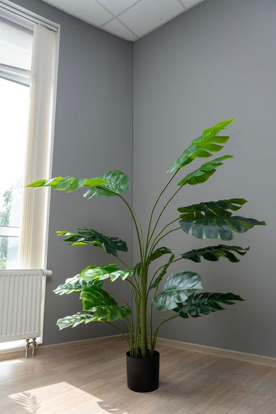 Штучна рослина - Монстера 165 см, в горщику (360535) 360535 фото