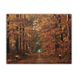 Светящаяся картина - осенний лес с тропой горящих фонарей, 6 LЕD ламп, 30x40 см (940102) 940102 фото 1