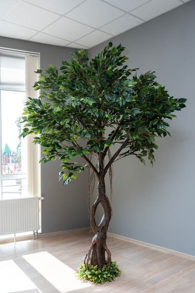 Искусственное дерево - Фикус 245 см, на подставке (360542) 360542 фото