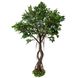 Штучне дерево - Фікус 245 см, на підставці (360542) 360542 фото 1