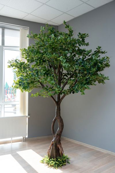 Штучне дерево - Піттоспорум 250 см, на підставці (360559) 360559 фото