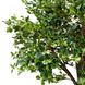 Штучне дерево - Піттоспорум 250 см, на підставці (360559) 360559 фото 2