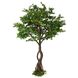 Искуственное дерево - Питоспорум 250 см, на подставке (360559) 360559 фото 1