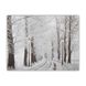 Светящаяся картина - зимний лес с уличными фонарями и заснеженной тропой, 5 LЕD ламп, 30x40 см (940157) 940157 фото 1