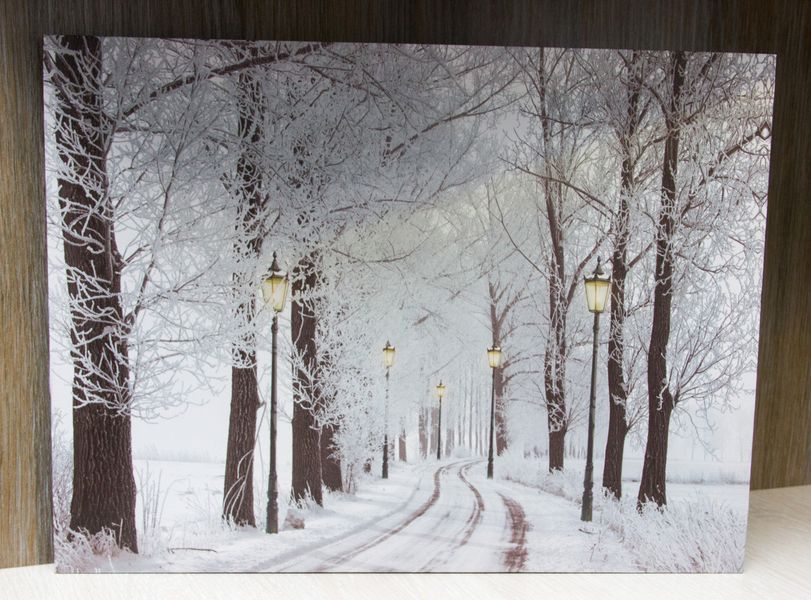 Картина, що світиться - зимовий ліс з вуличними ліхтарями та засніженою стежкою, 5 LЕD ламп, 30x40 см (940157) 940157 фото