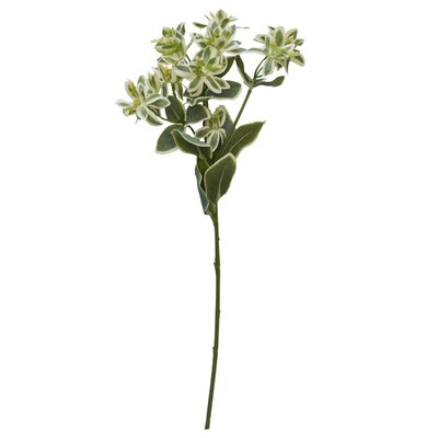 Штучна рослина Молочай, 45 см, полімерний матеріал, зелений (632526) 632526 фото