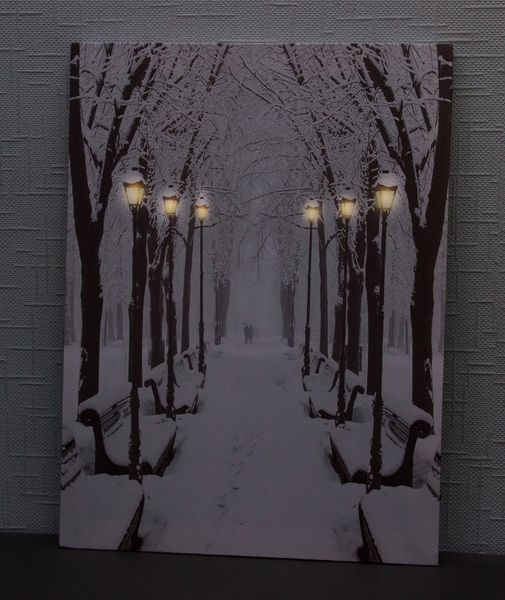 Картина, що світиться - зимовий парк із лавочками та вуличними ліхтарями, 6 LЕD ламп, 40x30 см (940171) 940171 фото