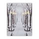 Картина, що світиться - зимовий парк із лавочками та вуличними ліхтарями, 6 LЕD ламп, 40x30 см (940171) 940171 фото 1