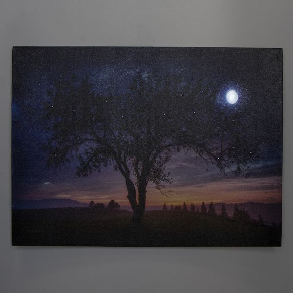Светящаяся картина - ночное небо со светящейся полной луной, 1 LЕD лампа, 30x40 см (940225) 940225 фото