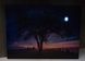 Картина, що світиться - нічне небо із повним місяцем, який світиться, 1 LЕD лампа, 30x40 см (940225) 940225 фото 4