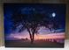 Картина, що світиться - нічне небо із повним місяцем, який світиться, 1 LЕD лампа, 30x40 см (940225) 940225 фото 3