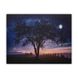 Картина, що світиться - нічне небо із повним місяцем, який світиться, 1 LЕD лампа, 30x40 см (940225) 940225 фото 1