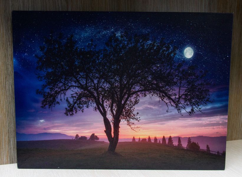 Картина, що світиться - нічне небо із повним місяцем, який світиться, 1 LЕD лампа, 30x40 см (940225) 940225 фото