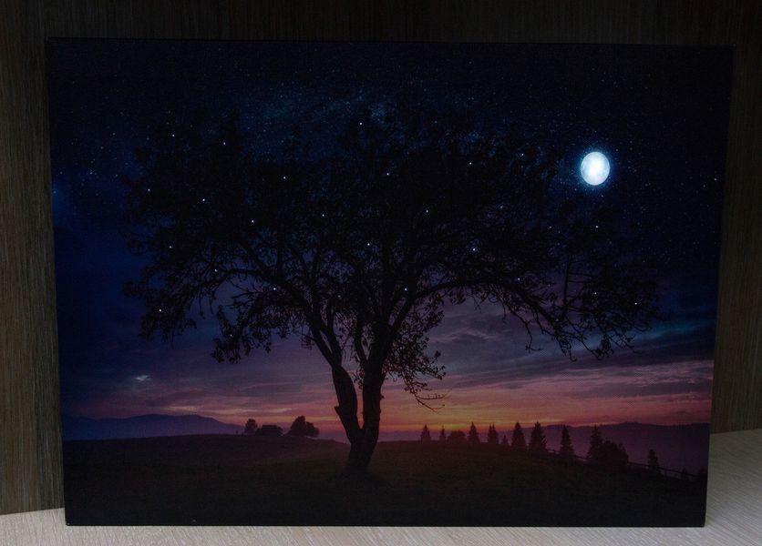 Картина, що світиться - нічне небо із повним місяцем, який світиться, 1 LЕD лампа, 30x40 см (940225) 940225 фото