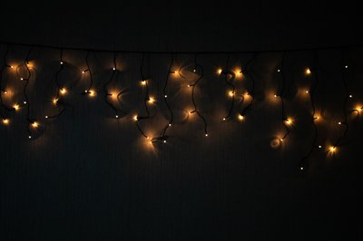 Гирлянда-бахрома с лампочками накаливания, 2x0,5 м, 76 л, удлинитель, теплый белый, IP20 (650736) 650736 фото