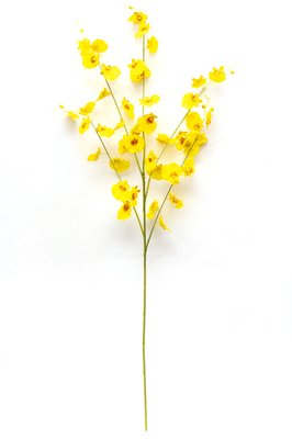 Искусственный цветок Орхидея, 88 см, желтый (630157) 630157 фото
