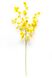 Штучна квітка Орхідея, 88 см, жовтий (630157) 630157 фото 1