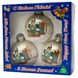 Набор елочных игрушек - шары с росписью, 3 шт, D8 см, серебристый, матовый, стекло (390427-1) 390427-1 фото 2