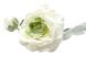 Штучна квітка Жовтець, тканина, пластик, 35 см, білий (630065) 630065 фото 2
