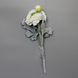 Искусственный цветок Лютик, ткань, пластик, 35 см, белый (630065) 630065 фото 4