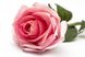 Искусственная роза-ветка, ткань, пластик, 64 см, светло-розовый (630119) 630119 фото 2