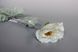 Штучна квітка Мак - гілка, тканина, пластик, 78 см, білий (630188) 630188 фото 3