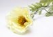 Штучна квітка Мак - гілка, тканина, пластик, 78 см, білий (630188) 630188 фото 2