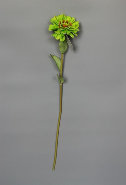 Искусственный цветок Маргаритка, ткань, пластик, 50 см, зеленый (630256) 630256 фото