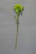 Штучна квітка Маргаритка, тканина, пластик, 50 см, зелений (630256) 630256 фото 5