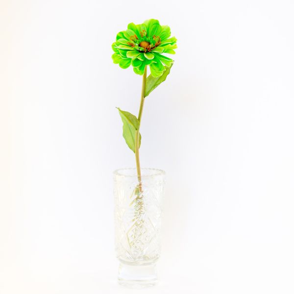 Штучна квітка Маргаритка, тканина, пластик, 50 см, зелений (630256) 630256 фото