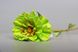 Штучна квітка Маргаритка, тканина, пластик, 50 см, зелений (630256) 630256 фото 4