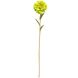 Штучна квітка Маргаритка, тканина, пластик, 50 см, зелений (630256) 630256 фото 1
