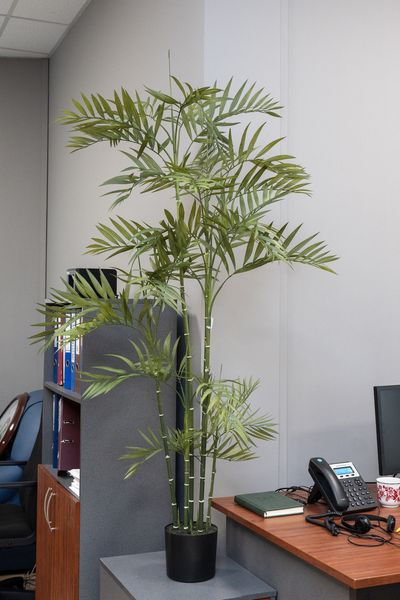 Штучне дерево - Пальма 160 см, в горщику (360443) 360443 фото