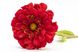 Штучна квітка Маргаритка, тканина, пластик, 50 см, червоний (630270) 630270 фото 2