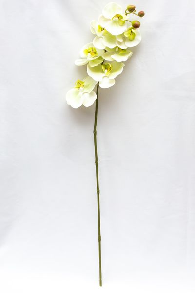 Искусственный цветок Орхидея, 72 см, белый (630324) 630324 фото