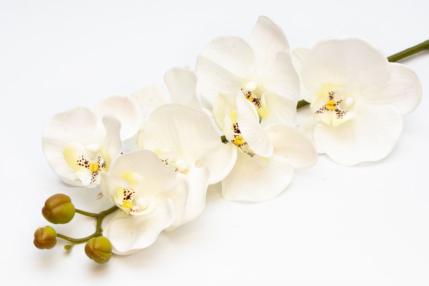 Искусственный цветок Орхидея, 72 см, белый (630331) 630331 фото