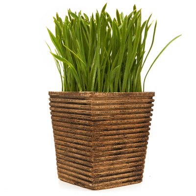 Штучна рослина в горщику - зелена травка, зелений, 15 см, пластик (960347) 960347 фото