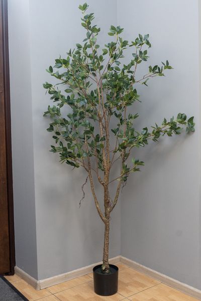 Штучне дерево - Фікус 170 см, в горщику (360368) 360368 фото