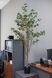 Штучне дерево - Фікус 170 см, в горщику (360368) 360368 фото 5