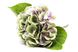 Штучна квітка Гортензія, 42 см, зелено-фіолетовий (630577) 630577 фото 2